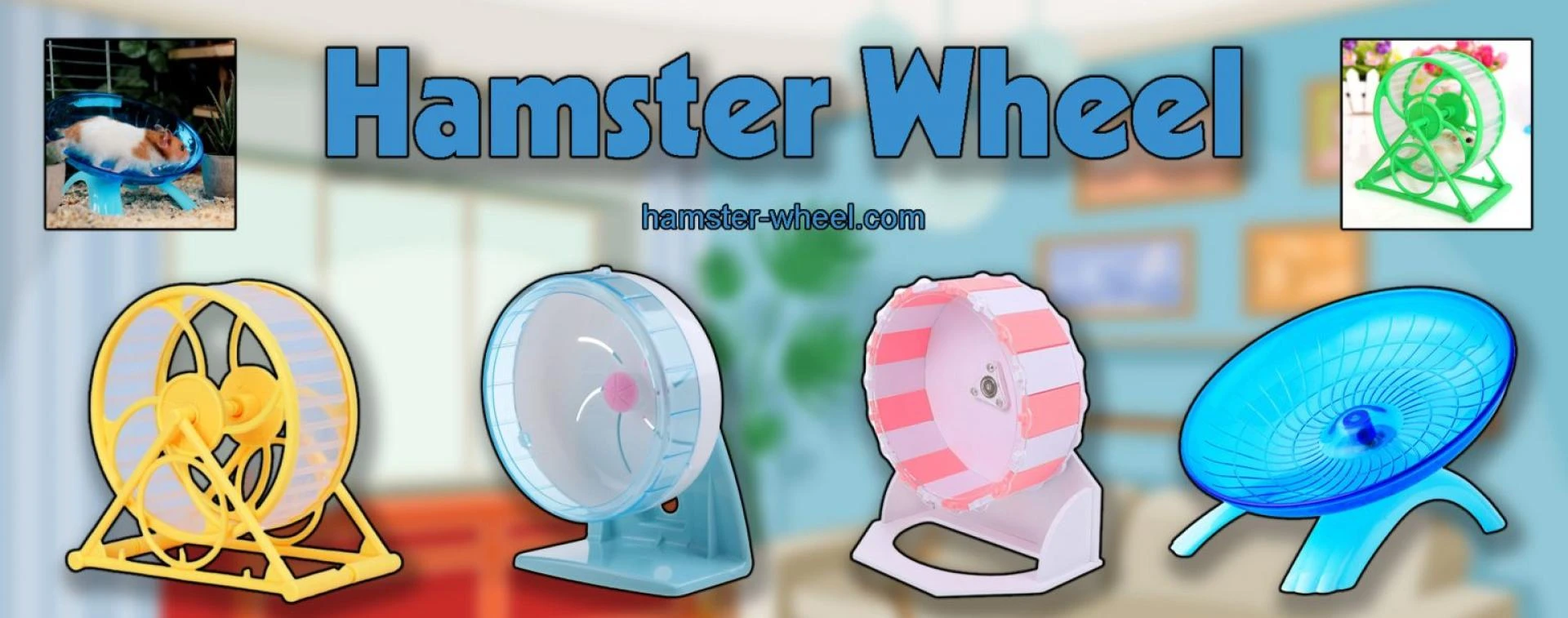 The 10 Best Hamster Wheels