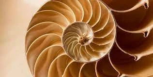 Know About Online sessions on Meditation in Portugal By Sol Yoga