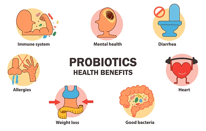 The Science Behind Human Probiotics: How They Work and Why They Matter