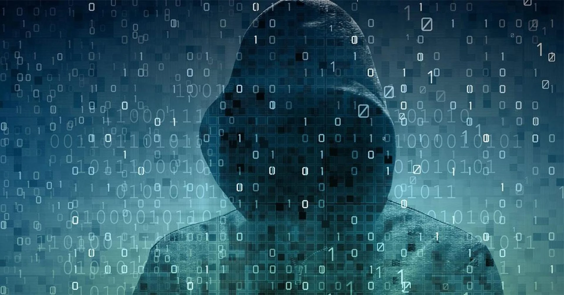 BigFat.cc: A Window into the Dark Web's Economy