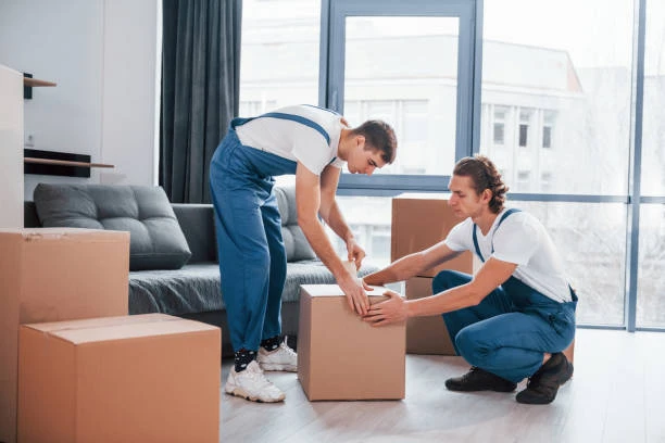 What Role Do Professional Movers Play in Ensuring Timely and Secure Delivery of Your Belongings?
