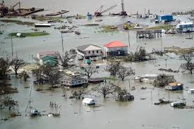 Why is business flood insurance Palm Beach Gardens a perfect option of protection?