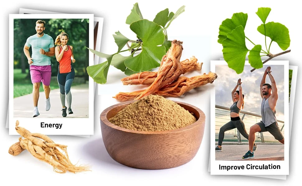 The Benefits of Ginkgo Biloba and Ginseng: A Comprehensive Overview