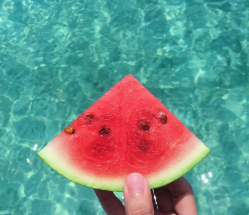 Miami's green revolution: Exploring the city's journey towards sustainability