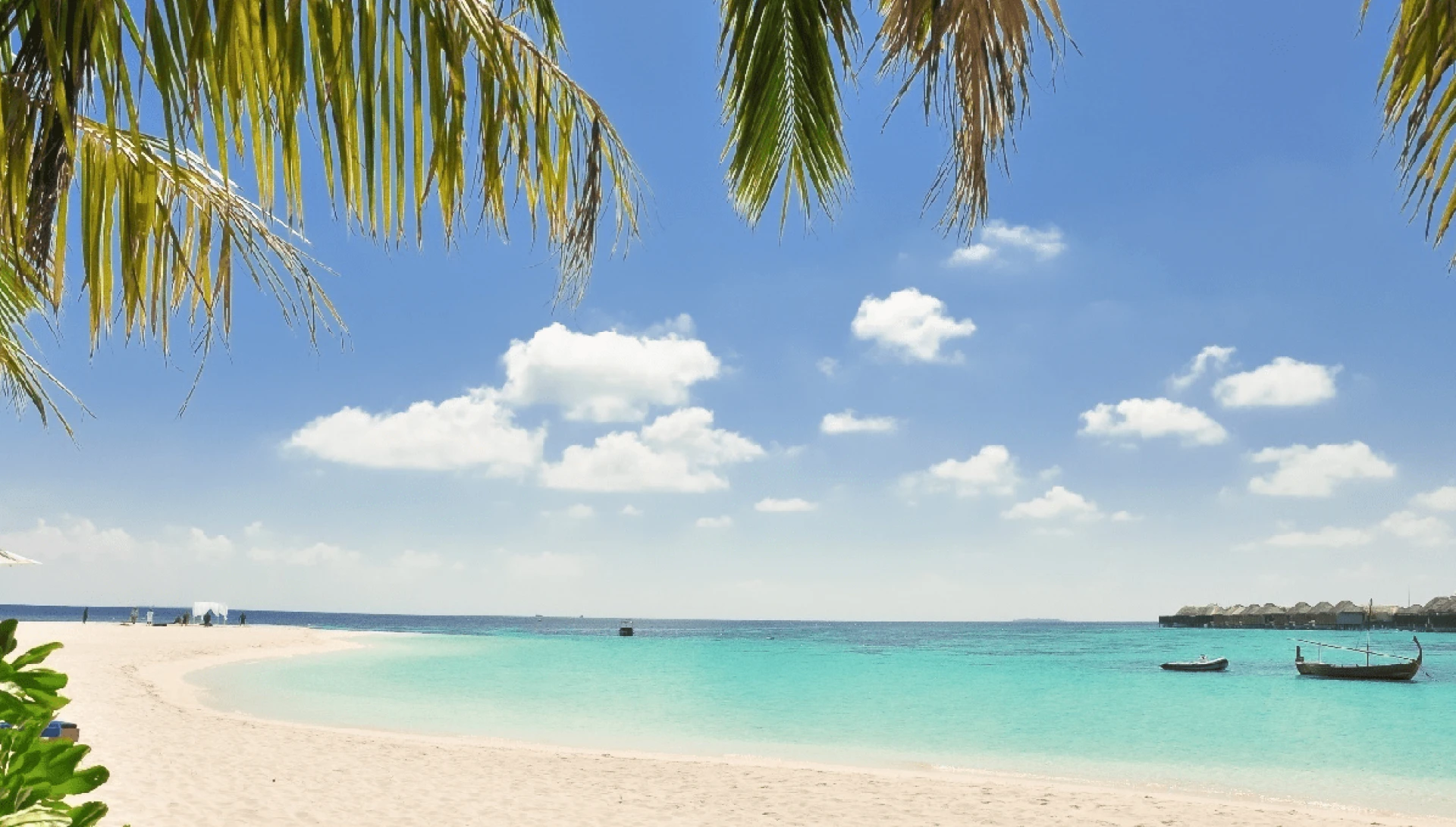 Why Miami is the Hottest Summer Vacation Spot