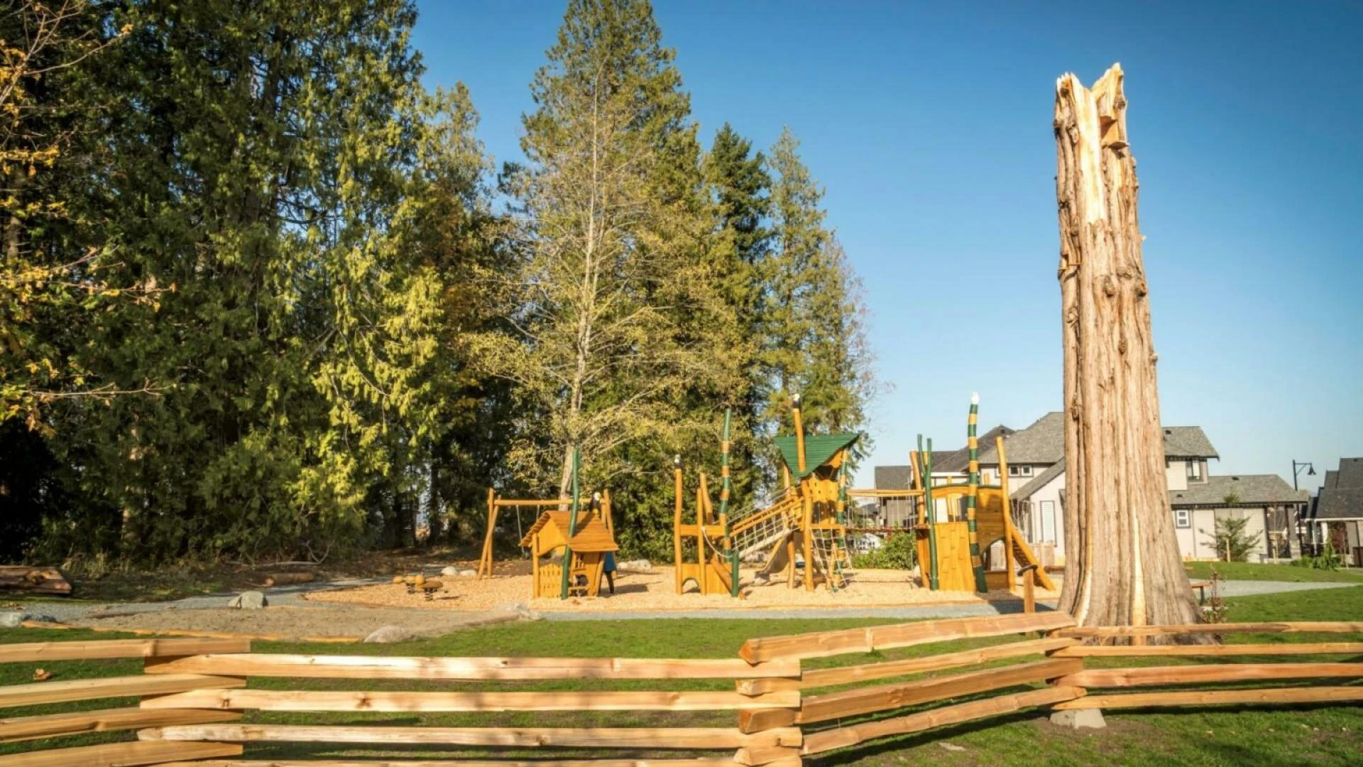 5 Fun Things to Do With Your Family in Cloverdale This Summer