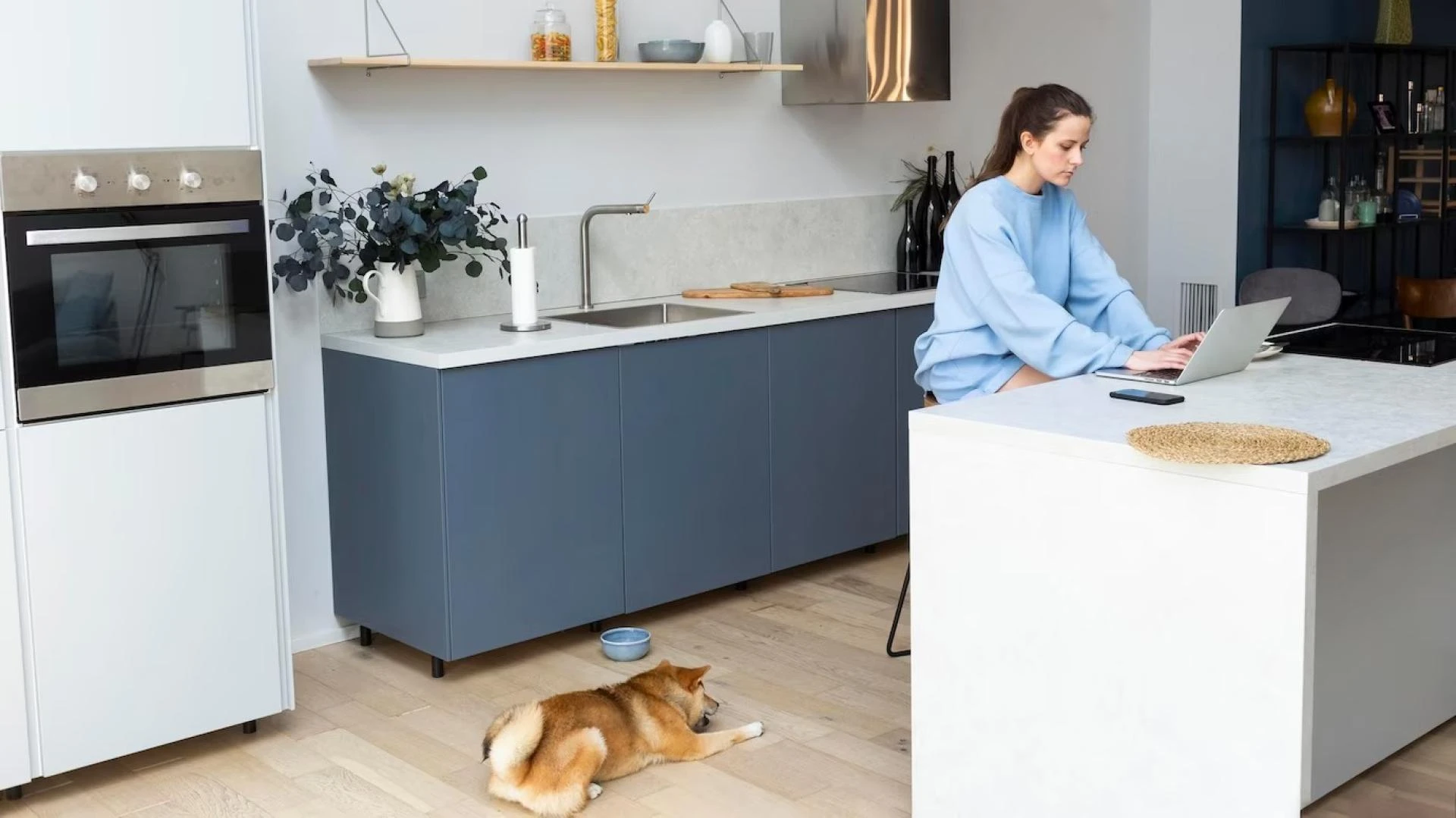 Which Type Of Kitchen Is Most Suitable For A Dog?