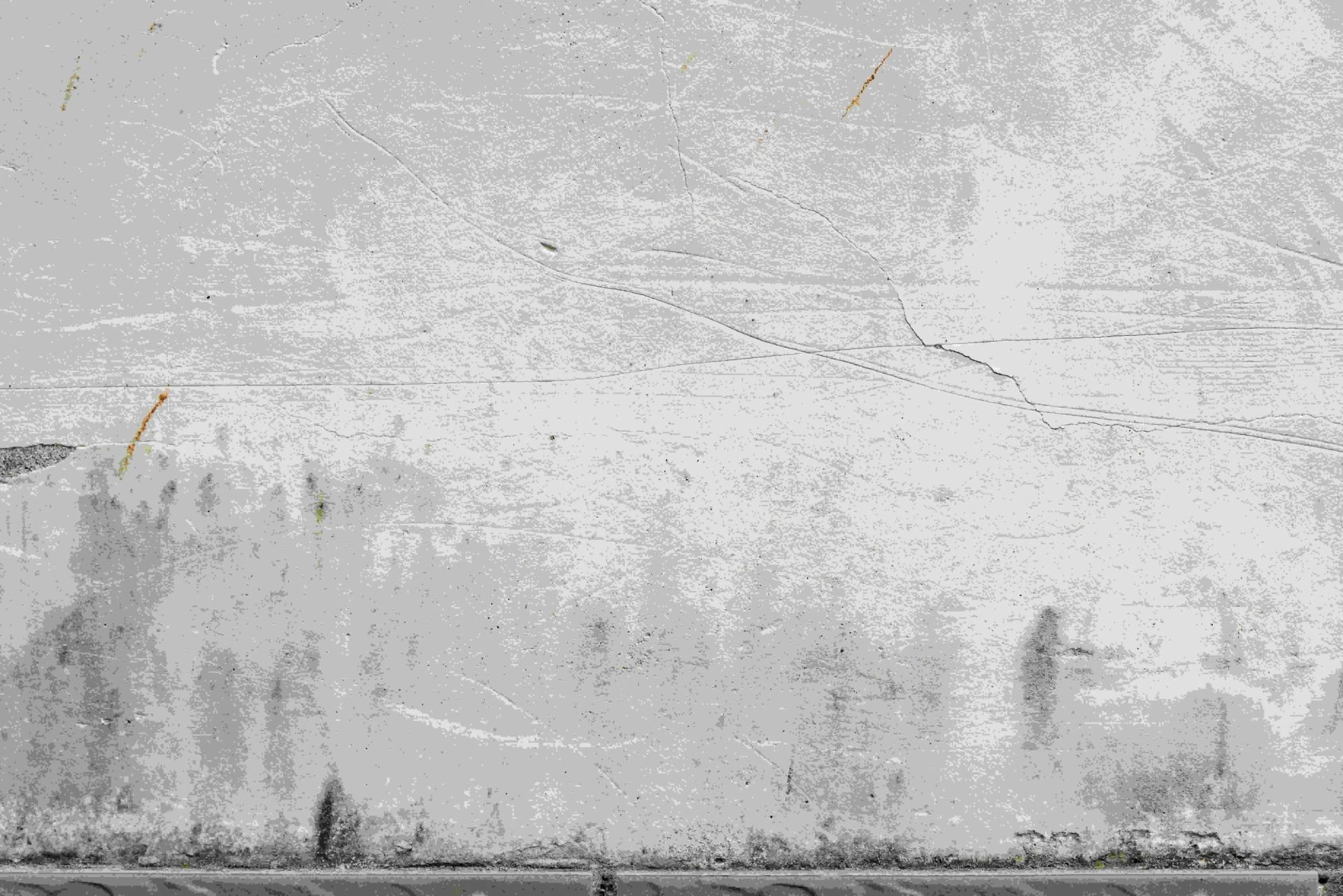 Banish Mold for Good: The Ultimate Guide to a Pristine Home with Top Mold Removal Solutions