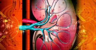 Chronic Kidney Disease Market Share 2023 | Forecast till 2033