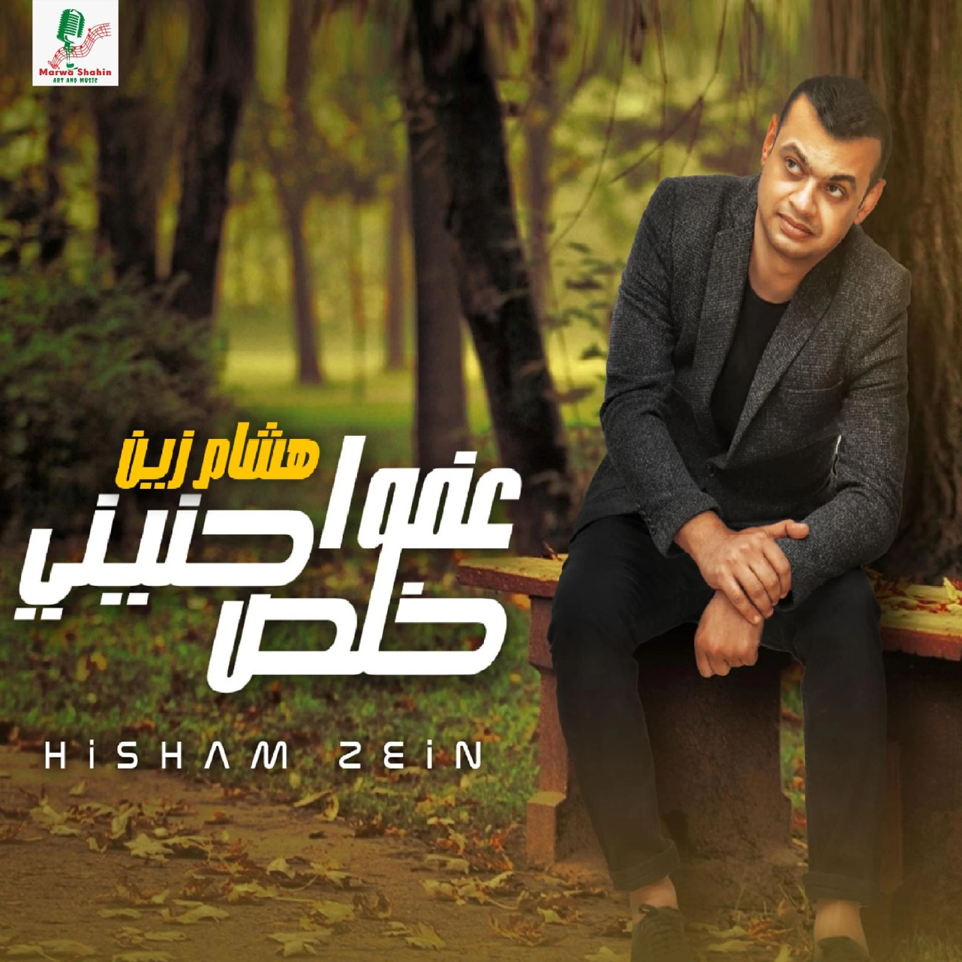 هشام زين - عفوا خلص حنيني