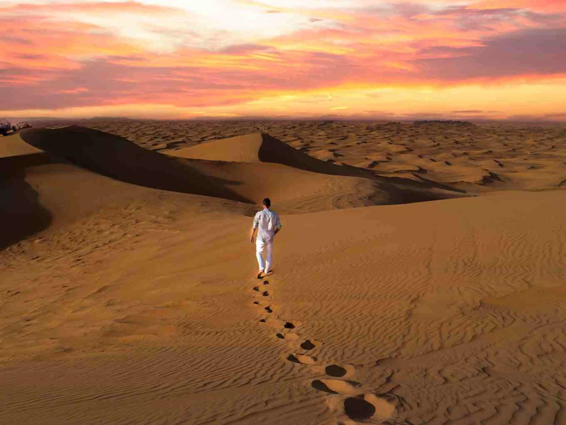 How To Choose The Best Desert Safari Tours in Dubai