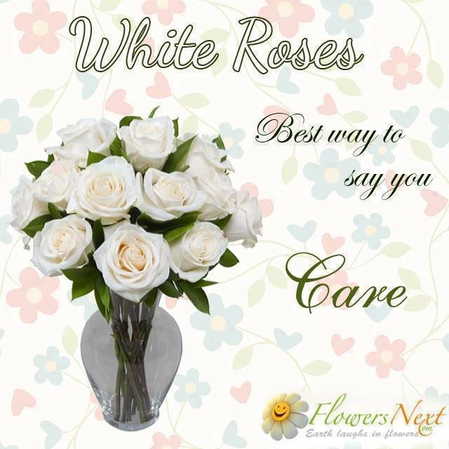 Korea Bound: The Best Ways to Send Flowers