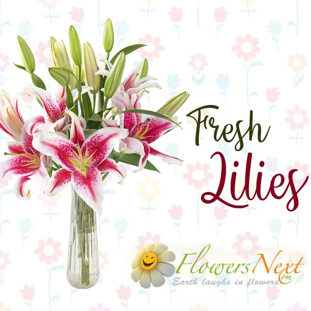 Blooms Beyond Borders: Explore International Shipping with Online Japanese Florists