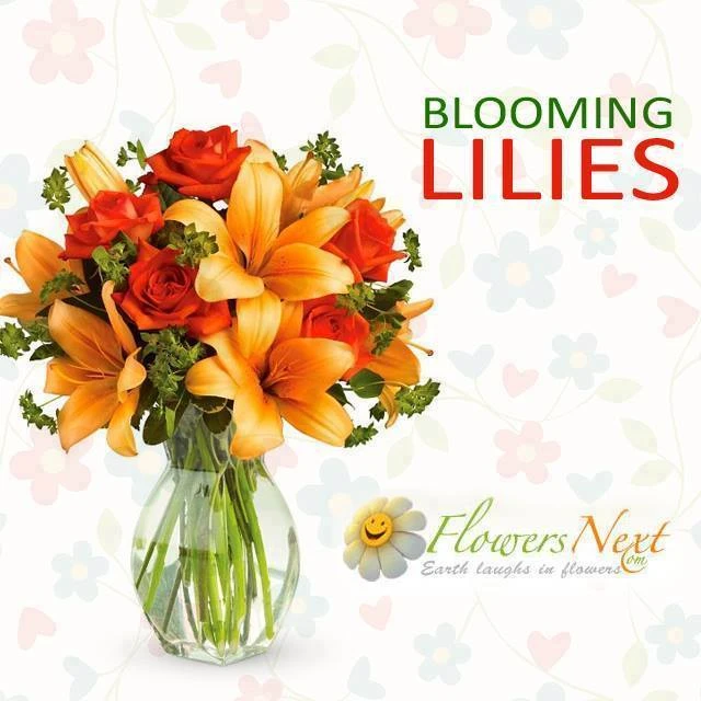 Express Your Love: Send Beautiful Flowers to Bosnia and Herzegovina