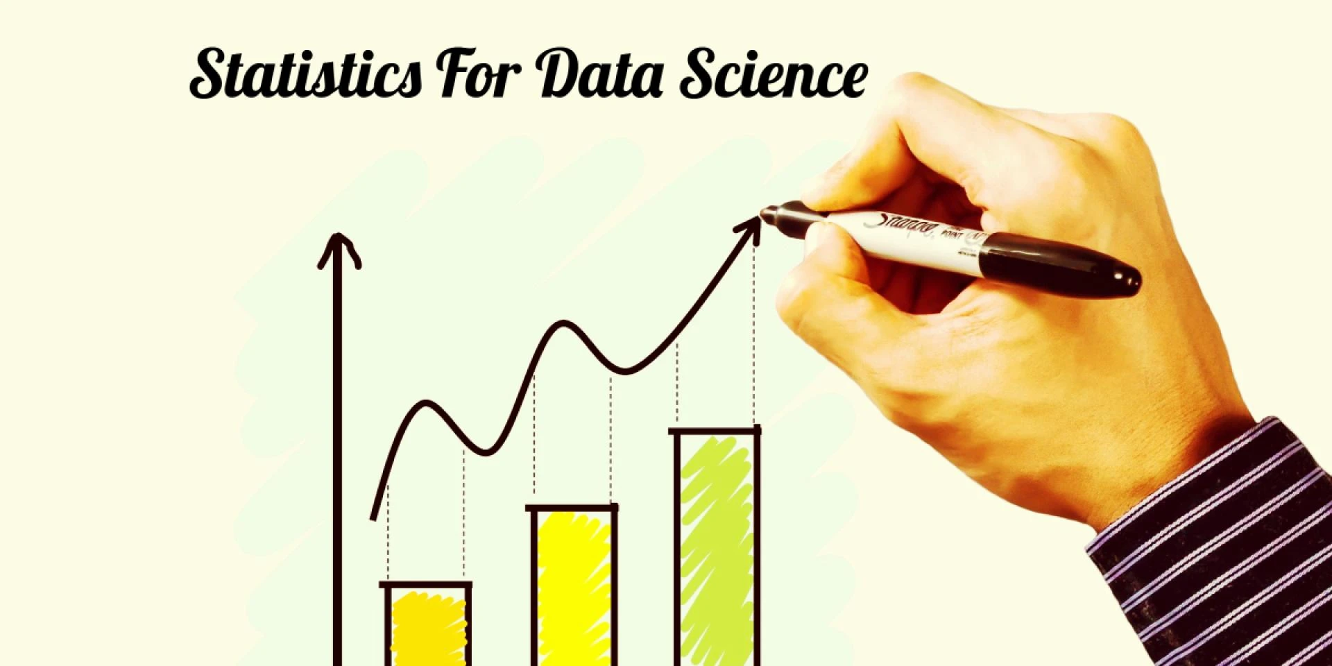 How Much Data Scientists Should Know About Statistics?