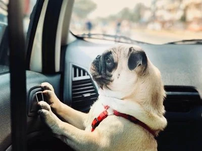 Pune To Surat Taxi