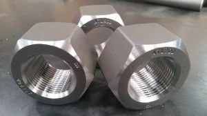Manufacturer Of Inconel 625 Nuts