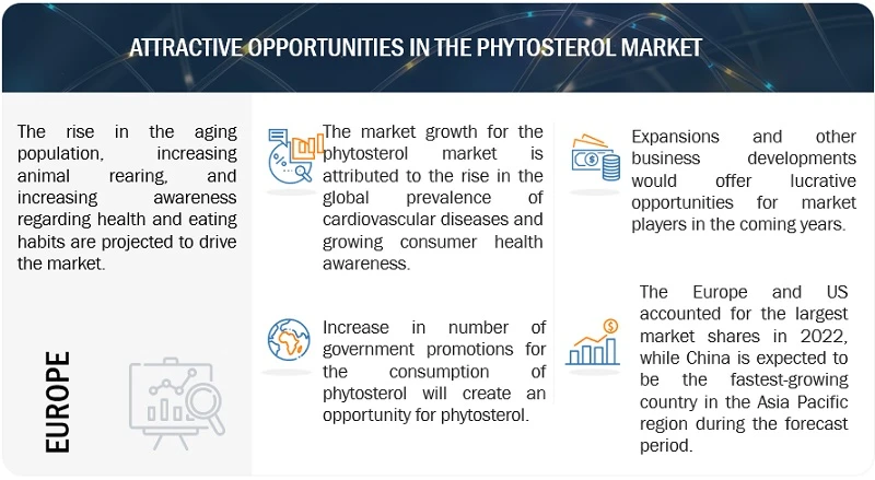 Phytosterols Market | Opportunities | Challenges