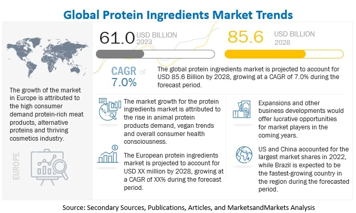 Protein Ingredients Market Emerging Trends and Developments by 2028