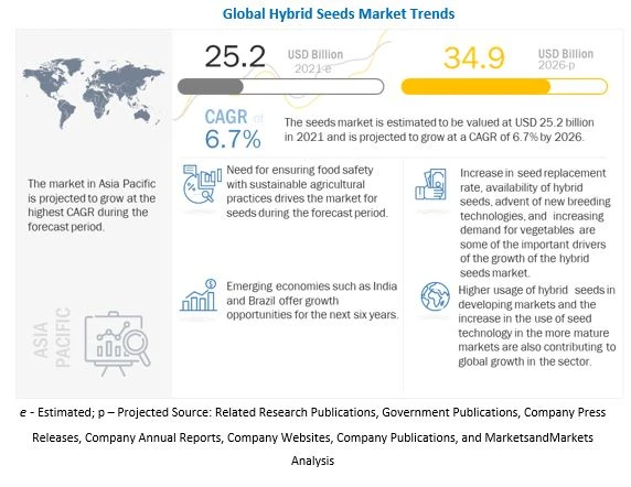 Hybrid Seeds Market Driving Factors and Opportunities