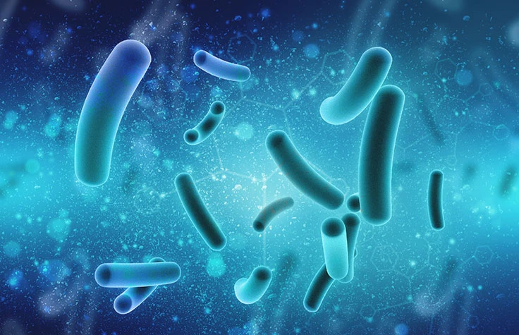 Microbiome Sequencing Services Market (2021-2026) Industry Overview, Trends, Growth and Forecast