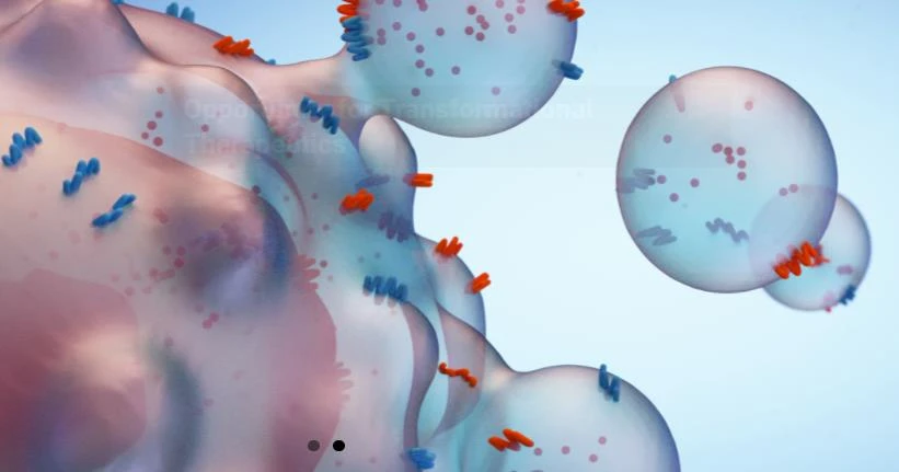 Extracellular Vesicles Research: What Happens Inside the Body When We Exercise?