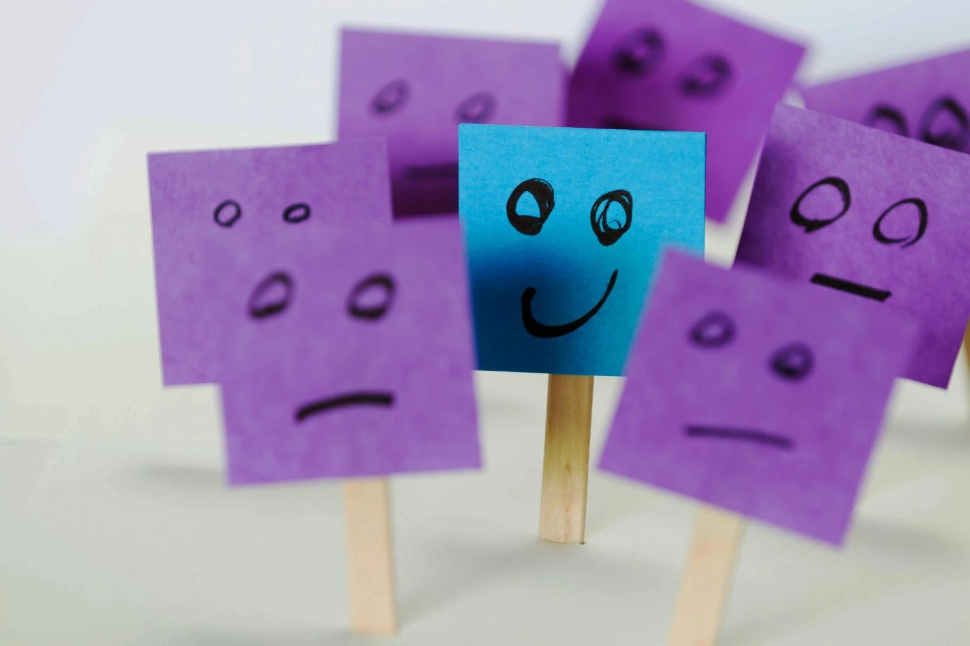 Elevating Your Professional Brand (part 2)