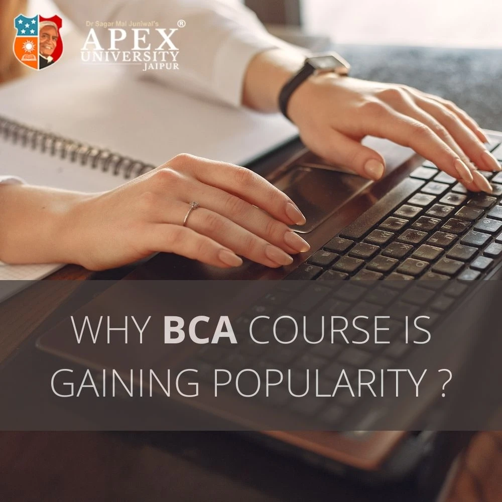 Why BCA Course is Gaining Popularity?