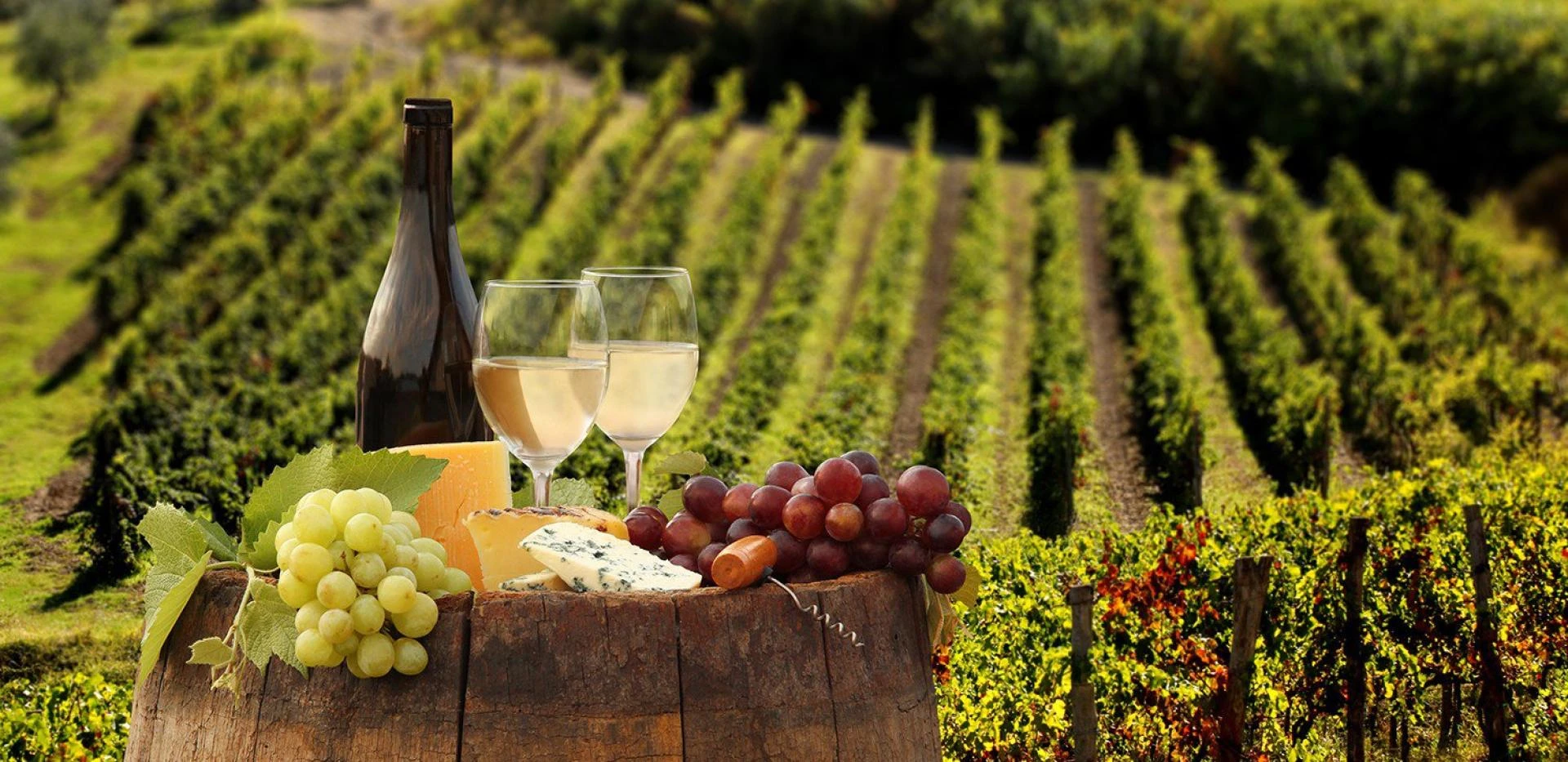 Curious About Experiencing a Farm-To-Table Meal On Your Wine Tour?