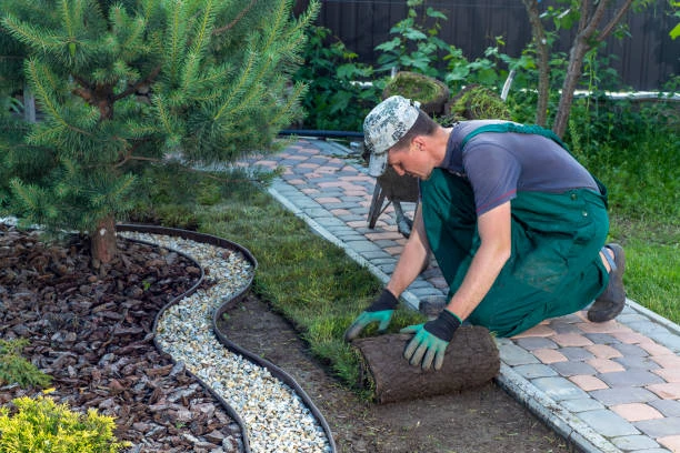 What Sets the Best Landscaping Services Apart from the Rest? A Deep Dive