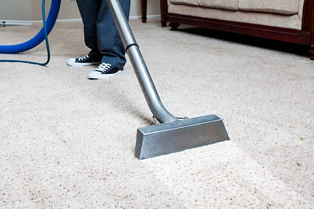 The Ultimate Guide to Professional Carpet Cleaning Services