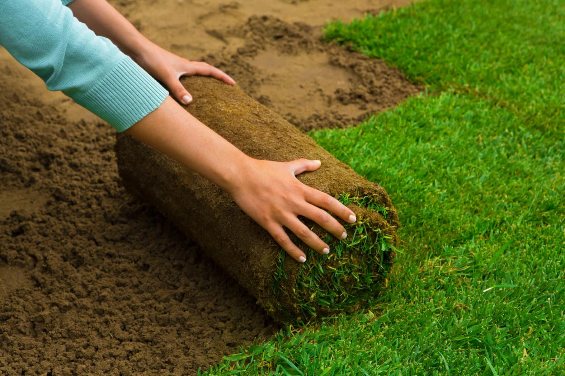 The Ultimate Guide to Sod Installation: Tips, Techniques and Maintenance