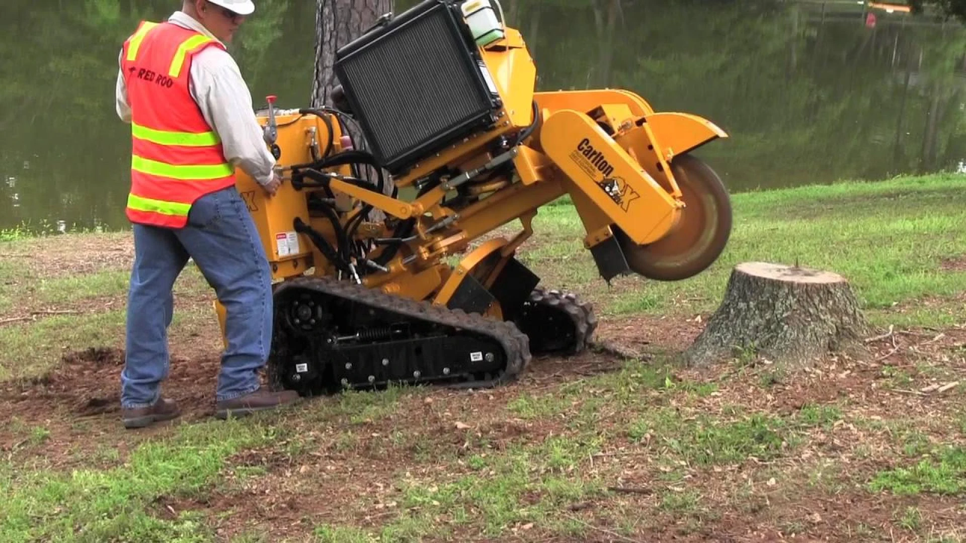 Signs Your Property Needs Stump Grinding Services: Don't Miss These