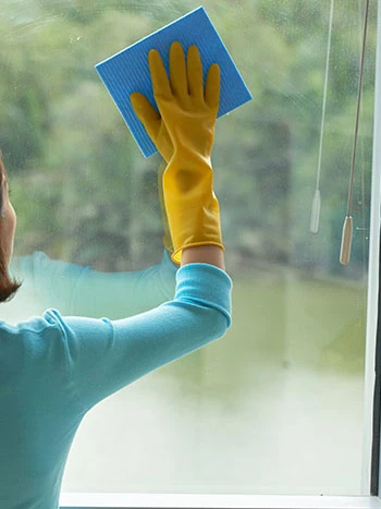 Crystal Clear Views: Interior Window Cleaning Services