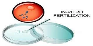 Empowering Dreams of Parenthood: IVF Excellence in HRBR, Bangalore