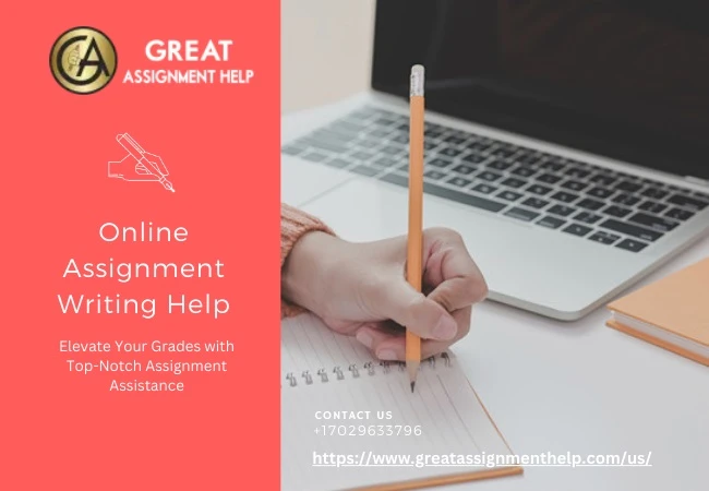 Why Assignment Helper Guidance is Necessary for Students in Assignment