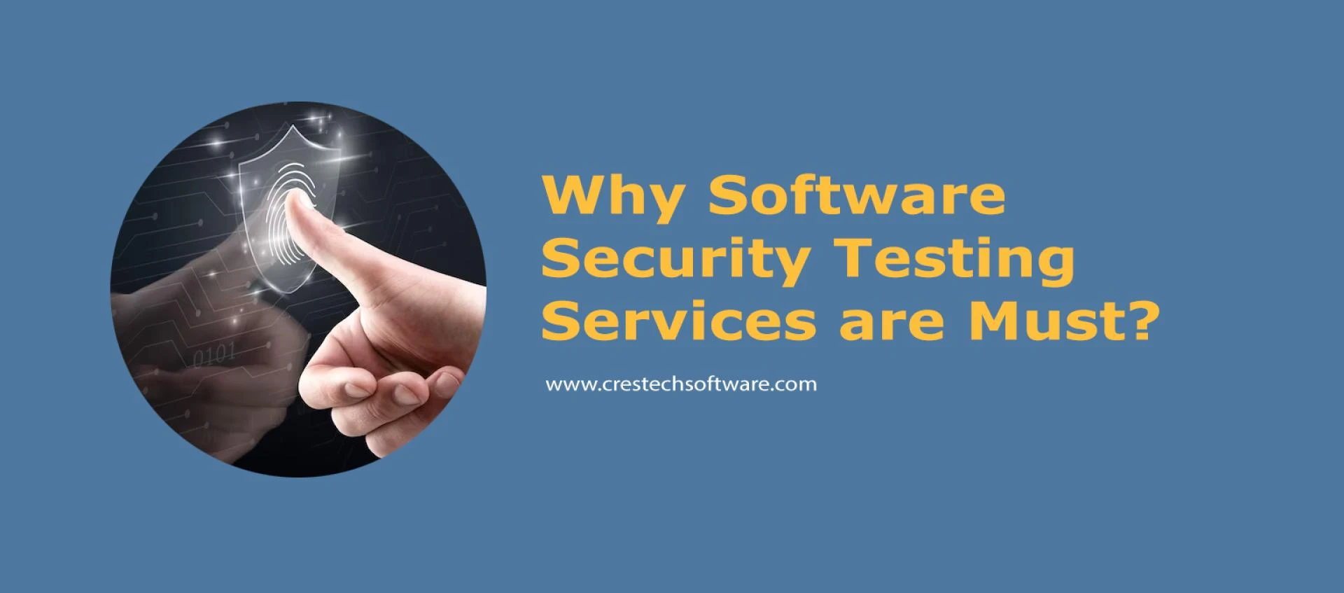 Why Software Security Testing Services are Must?