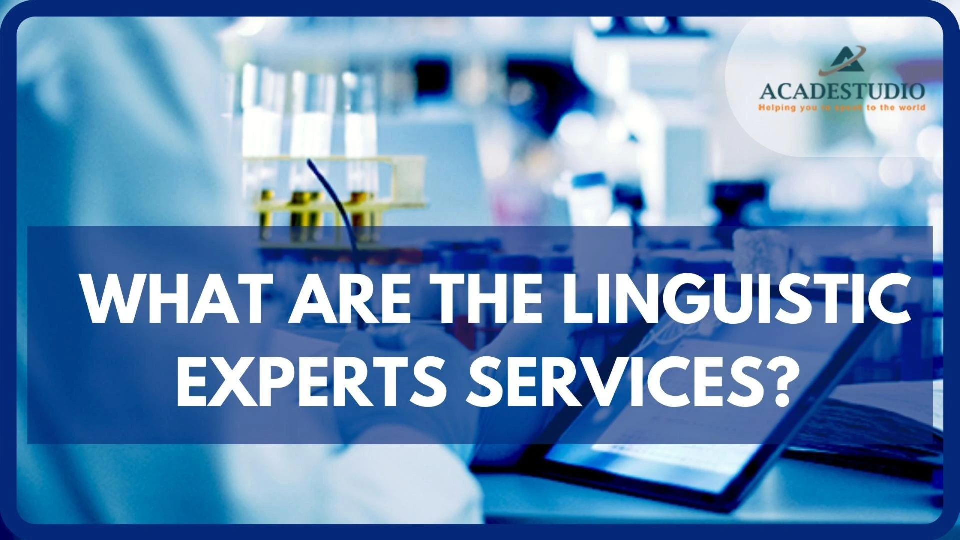 WHAT ARE THE LINGUISTIC EXPERTS SERVICES?
