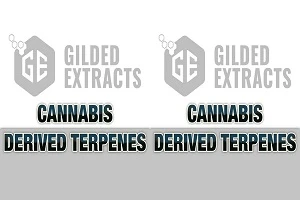 Exploring the Most Popular Cannabis Terpenes: Aroma, Effects, and Potential Benefits
