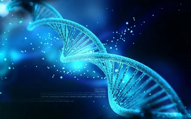 United States Transfection Technologies Market Growth, Trends, Growth, Scope and Forecast 2026