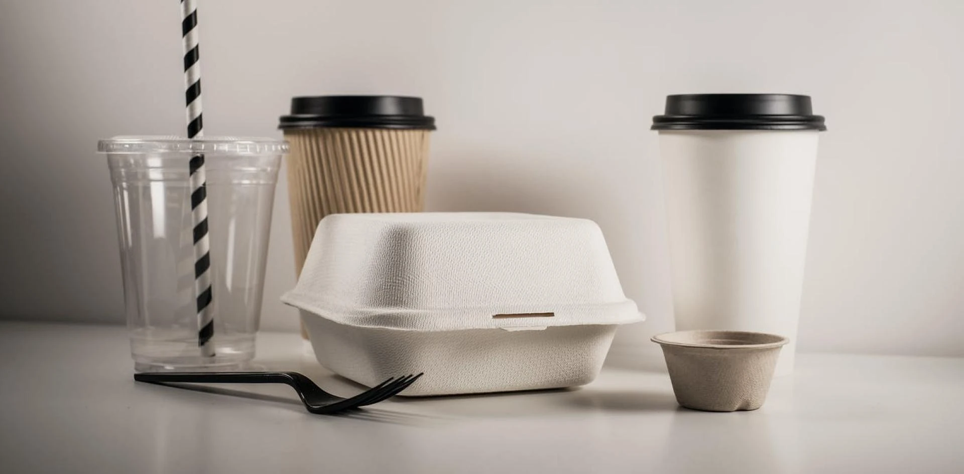 Europe Biodegradable Plastic Market Size, Share, Trends, Outlook and Forecast 2021-2026