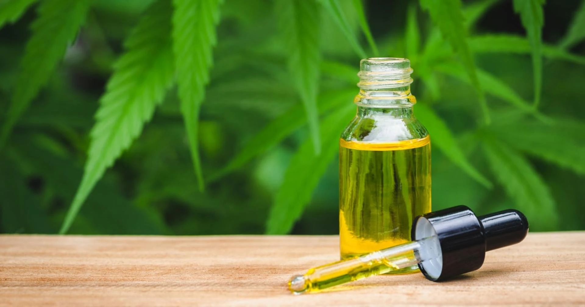 Europe CBD Oil Market Research Report 2021: Overview, Size, Share, Growth and Forecast 2026