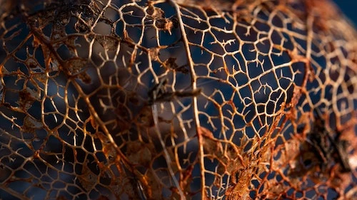 WHEN DO YOU REQUIRE SPIDER VEIN TREATMENT?