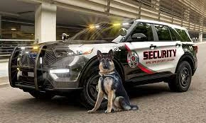 What Are Edmonton Security Services and How Do They Work?