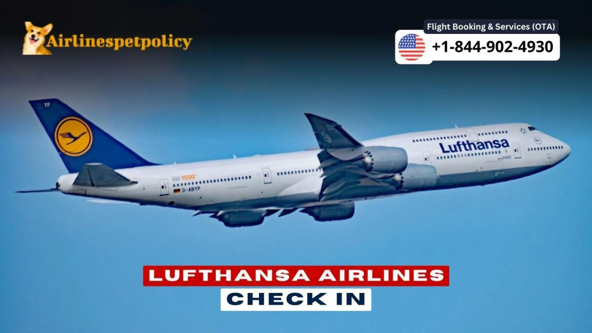Lufthansa Airlines Check In | Online, Web, Mobile App &amp; Policy