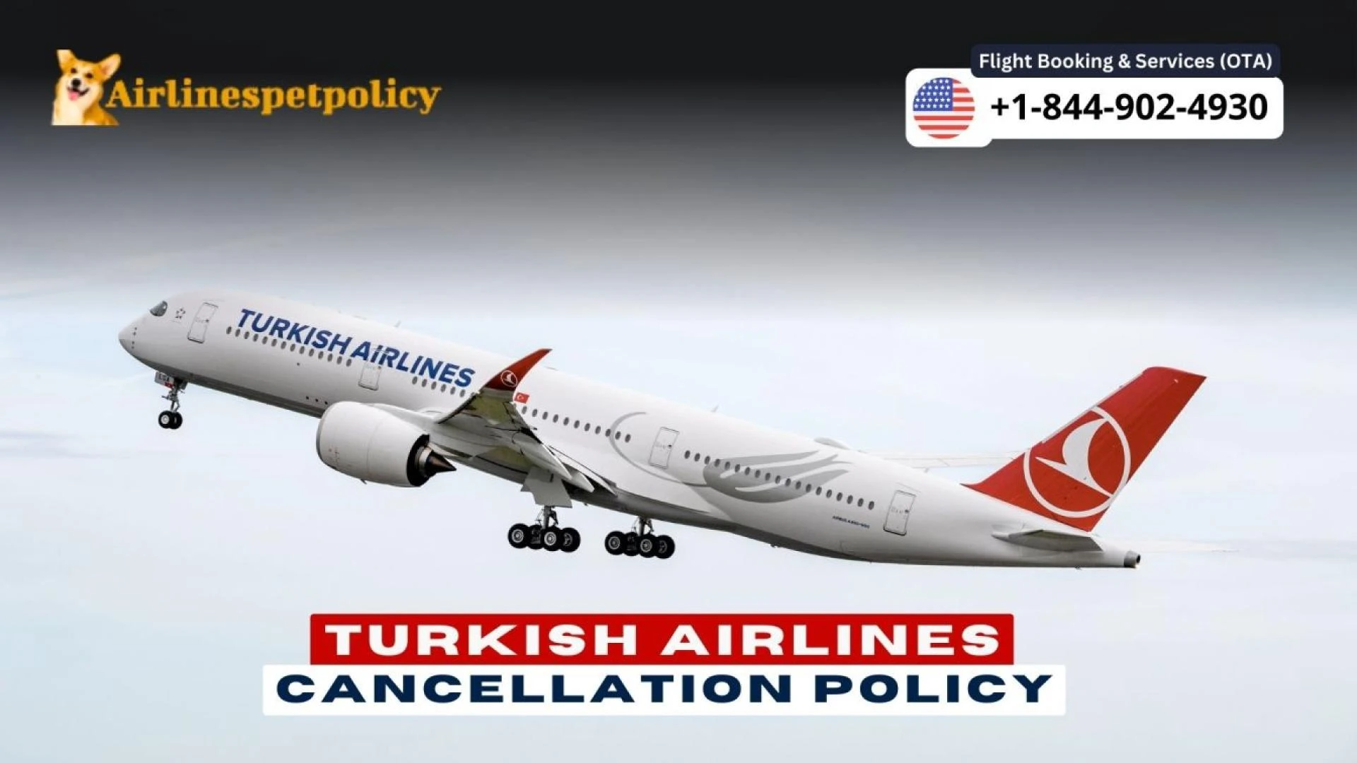 Turkish Airlines Cancellation Policy | Refund &amp; Fee