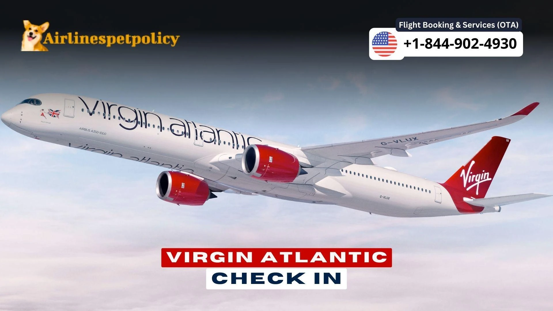How to Check in on Virgin Atlantic? | Online | Airport
