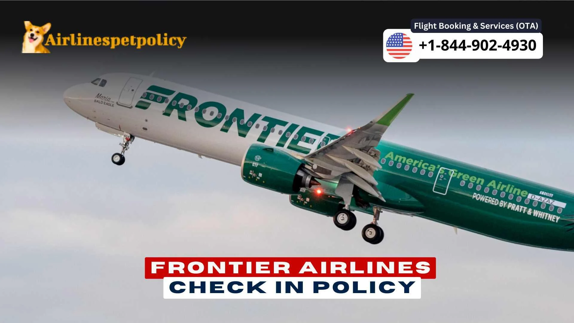 Frontier Airlines Check-In - A Comprehensive Guide