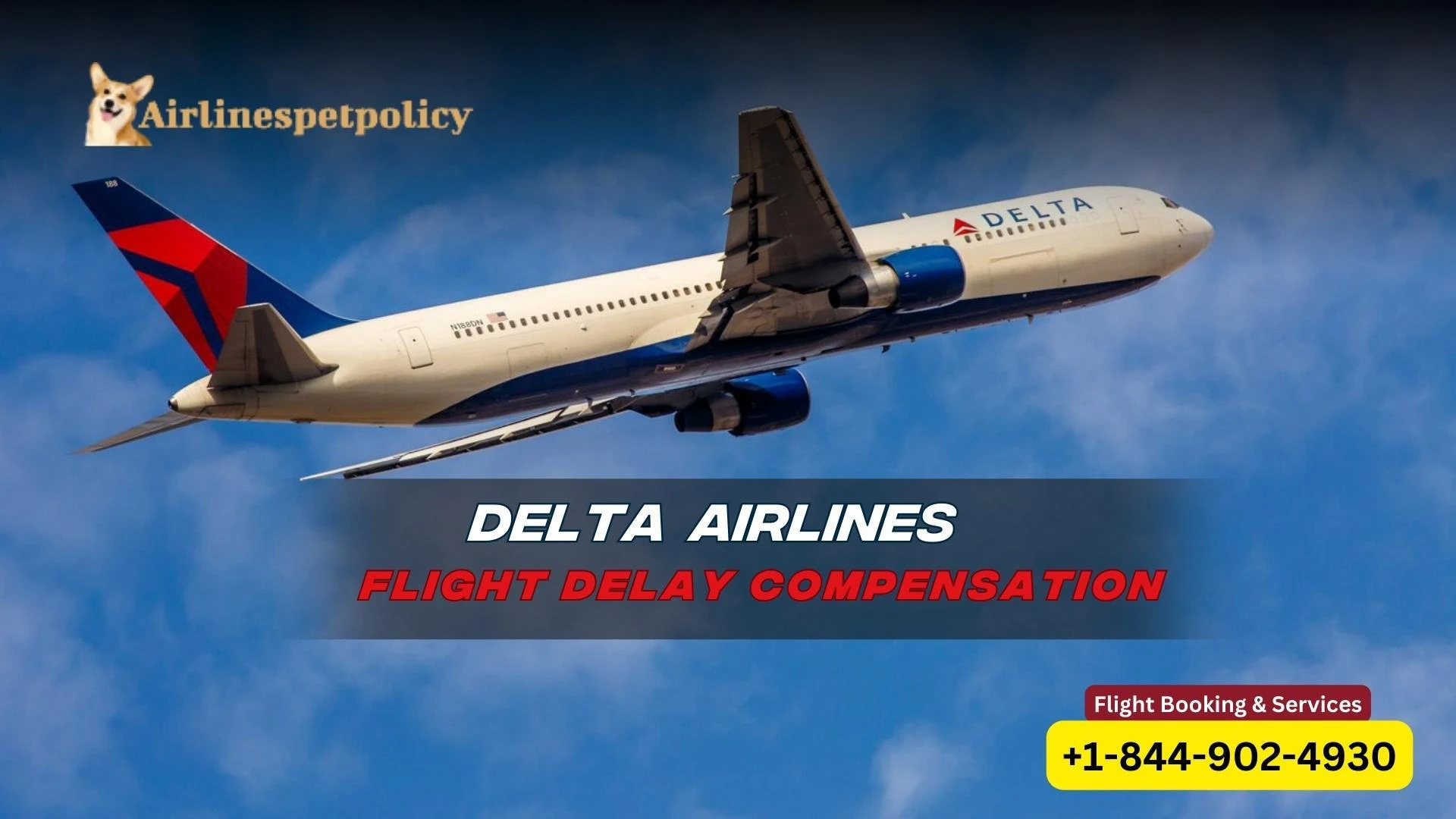 How to Claim Delta Delayed Flight Compensation?