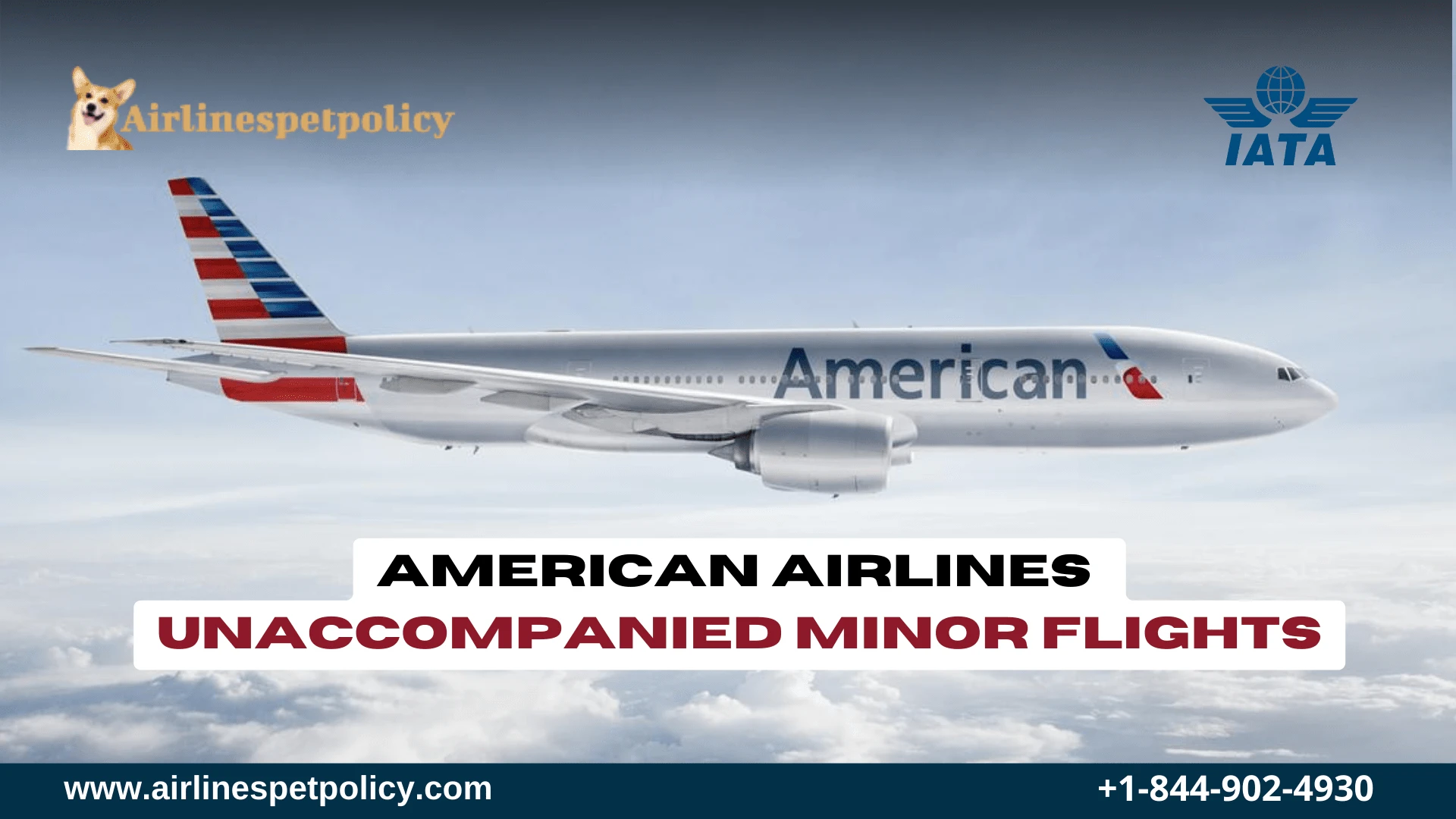 What is American Airlines Unaccompanied Minor Policy?